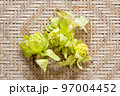 フキノトウ 97004452