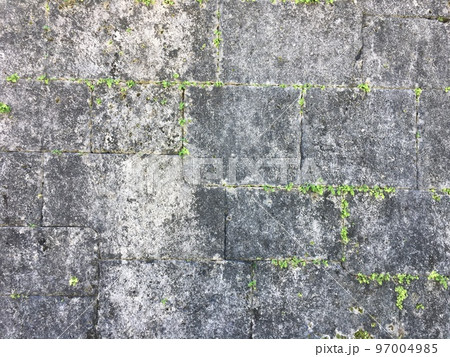 首里城の石垣 97004985