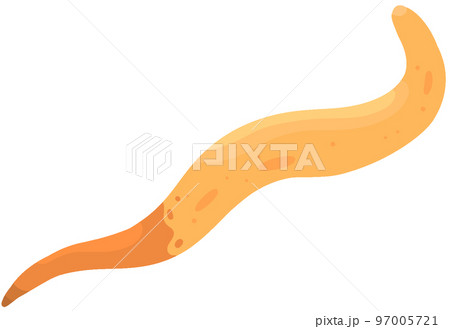 サメハダホシムシ 97005721