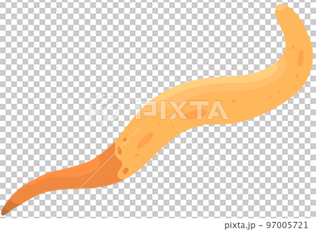 サメハダホシムシ 97005721