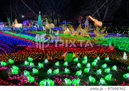 曽木の滝公園イルミネーション(2022年12月) 曽木の滝公園イルミネーション(2022年12月) 97006362