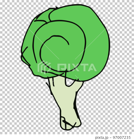 西蘭花手繪 97007235