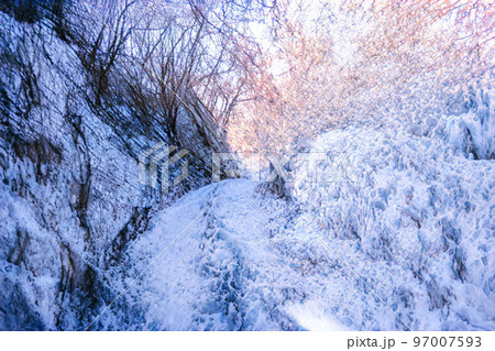 雪景色 イラスト 97007593