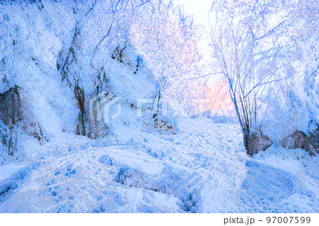 雪景色 イラスト 97007599