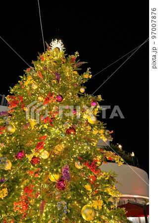 花クリスマス、クリスマスデコレーション、春のクリスマス、クリスマスツリー、横浜、日本 97007876