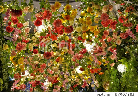 花クリスマス、クリスマスデコレーション、春のクリスマス、クリスマスツリー、横浜、日本 97007883