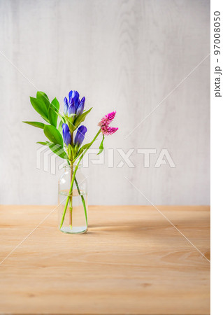 透明なガラスの花瓶に生けた花 リンドウ、セロシア、ルスカス 透明なガラスの花瓶に生けた花 リンドウ、セロシア、ルスカス 97008050