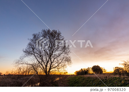 「埼玉県」見沼田んぼの冬の風景 97008320