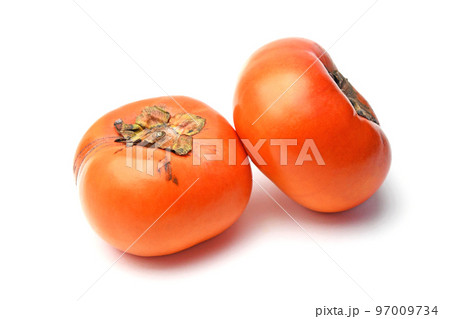 柿（秋王） 97009734