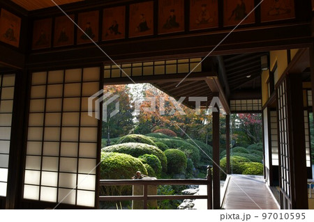 紅葉真っ盛り 秋の丈山苑 詩泉閣 紅葉真っ盛り 秋の丈山苑 詩泉閣 97010595