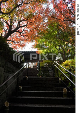 紅葉真っ盛り　秋の丈山苑　詩泉閣 97010648