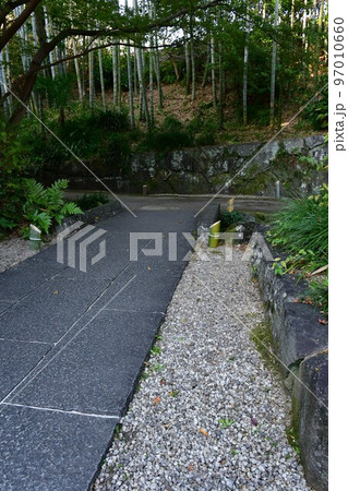 紅葉真っ盛り 秋の丈山苑 詩泉閣 紅葉真っ盛り 秋の丈山苑 詩泉閣 97010660