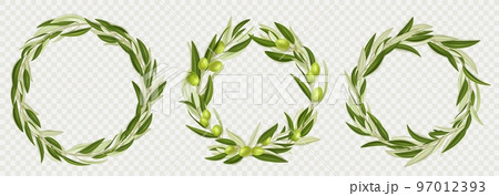Wreaths of olive tree branches with green fruits Wreaths of olive tree branches with green fruits 97012393