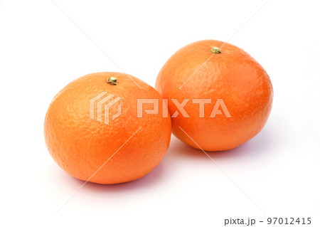 柑橘類（あいか/「紅まどんな」と同品種） 97012415