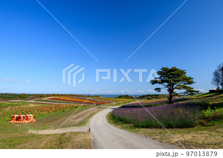 やくらいガーデン　ふるるの丘（宮城県） 97013879