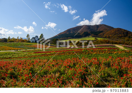 やくらいガーデン ふるるの丘と薬莱山(宮城県) やくらいガーデン ふるるの丘と薬莱山(宮城県) 97013883