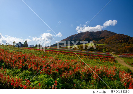 やくらいガーデン　ふるるの丘と薬莱山（宮城県） 97013886