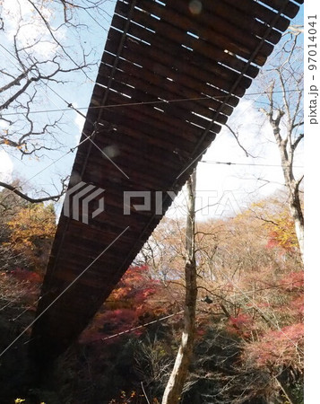 下から見上げる吊橋 97014041