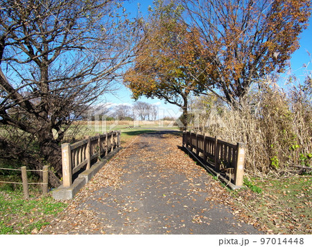 渡良瀬遊水地 鎌立橋 渡良瀬遊水地 鎌立橋 97014448