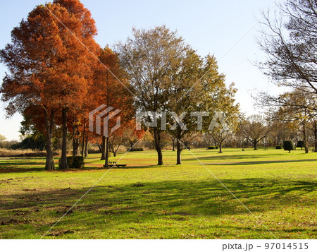 渡良瀬遊水地 公園広場 渡良瀬遊水地 公園広場 97014515