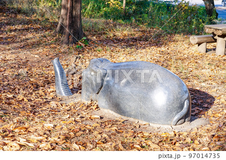 秋晴れの古代広場 阿須運動公園(埼玉県飯能市) 秋晴れの古代広場 阿須運動公園(埼玉県飯能市) 97014735