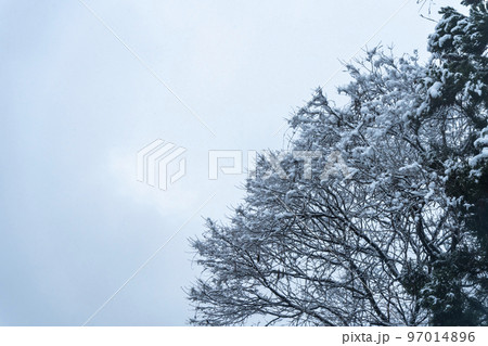 雪が降る山あいの風景 山形県山形市 雪が降る山あいの風景 山形県山形市 97014896