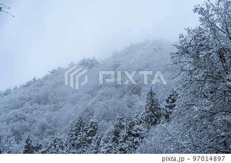 雪が降る山あいの風景 山形県山形市 雪が降る山あいの風景 山形県山形市 97014897