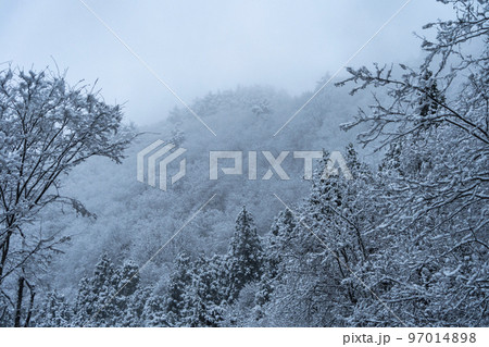 雪が降る山あいの風景 山形県山形市 雪が降る山あいの風景 山形県山形市 97014898