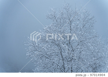 雪が降る山あいの風景　山形県山形市 97014904