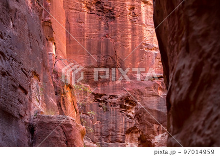 Al Siq Canyon in Petra, Jordan, sandstone walls Al Siq Canyon in Petra, Jordan, sandstone walls 97014959