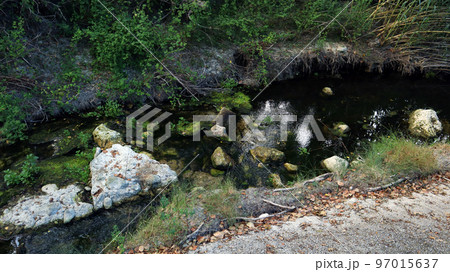 Mountain river, fast flowing water, clear water, white stones at the bottom, many green plants on the shore, high cliffs. Serpis River, Spain. Mountain river, fast flowing water, clear water, white stones at the bottom, many green plants on the shore, high cliffs. Serpis River, Spain. 97015637
