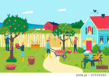 Farm garden with apple tree, vector illustration, flat man woman farmer character harvest fruit at nature, agriculture farming with organic fruit Farm garden with apple tree, vector illustration, flat man woman farmer character harvest fruit at nature, agriculture farming with organic fruit 97016360
