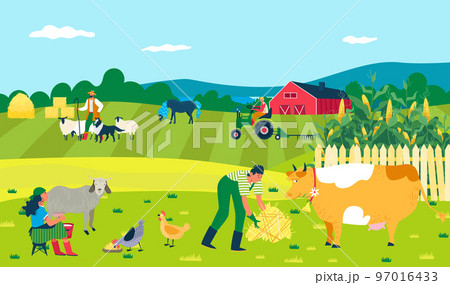 Farm with field, animals, vector illustration. Farming flat people character at agriculture nature, man woman care about cow, goat, chicken, sheep. Farm with field, animals, vector illustration. Farming flat people character at agriculture nature, man woman care about cow, goat, chicken, sheep. 97016433