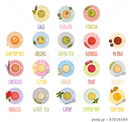 Different Tea Types and Herbal Drinks Poured in Teacup Standing on Saucer View From Above Big Vector Set 97016564