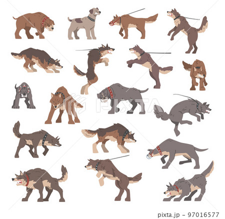 Aggressive Large Dogs Baring its Teeth and Barking Big Vector Set 97016577