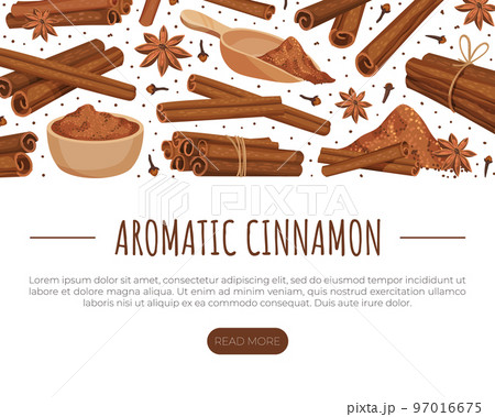 Cinnamon Design with Aromatic Spice Sticks and Powder Vector Template Cinnamon Design with Aromatic Spice Sticks and Powder Vector Template 97016675