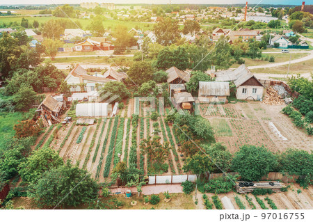 Close-up Aerial View On Houses Of Small Village. Houses And Vegetable Gardens. Home Plantations At Summer Day. Village Gardens. Household Plots Close-up Aerial View On Houses Of Small Village. Houses And Vegetable Gardens. Home Plantations At Summer Day. Village Gardens. Household Plots 97016755