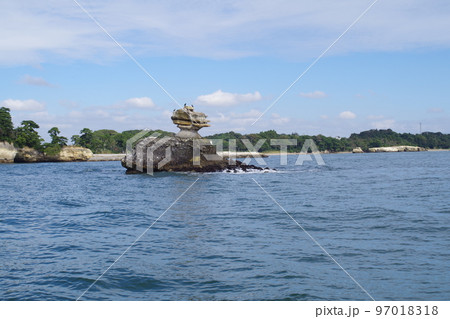 松島湾の仁王島の景色 97018318