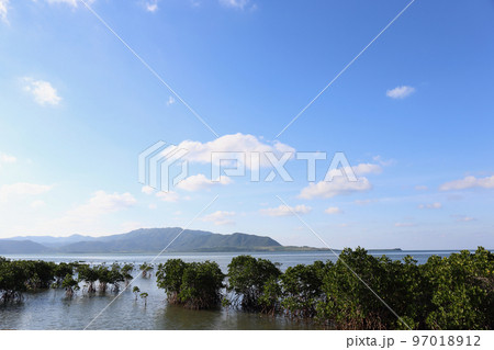 石長田海岸のマングローブと西表島 97018912