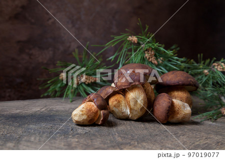 A lot of Imleria Badia or Boletus badius mushrooms commonly known as the bay bolete on vintage wooden background.. 97019077