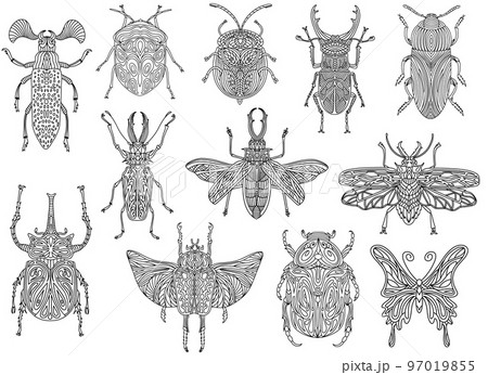 Set of various linear insects Set of various linear insects 97019855