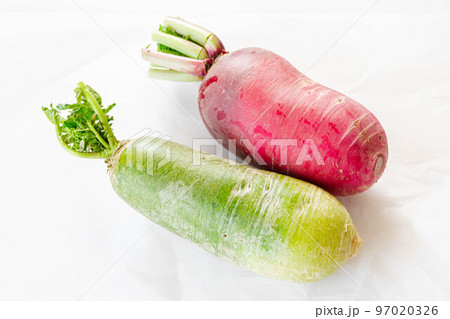 白い背景の青大根と赤大根 白い背景の青大根と赤大根 97020326