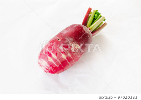 白い背景の赤大根 白い背景の赤大根 97020333