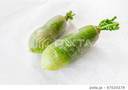 白い背景のビタミン大根 白い背景のビタミン大根 97020379