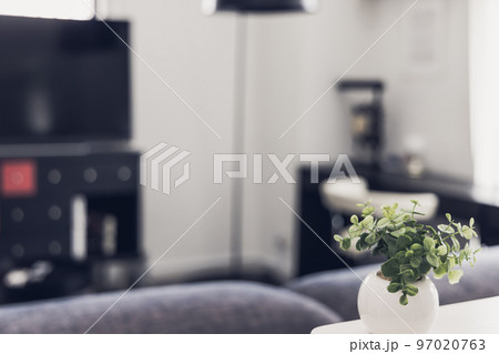 リビングの観葉植物 97020763