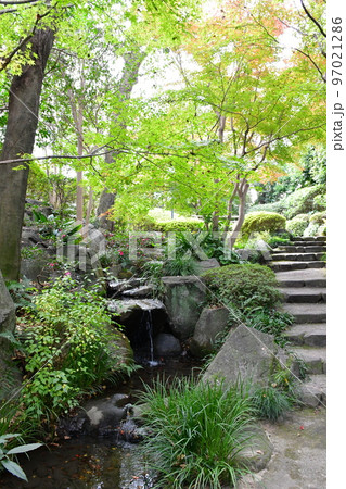 紅葉真っ盛り　秋の丈山苑　詩泉閣 97021286