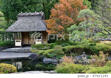 紅葉真っ盛り 秋の丈山苑 詩泉閣 紅葉真っ盛り 秋の丈山苑 詩泉閣 97021293