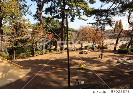 紅葉の多摩川台公園 97022878