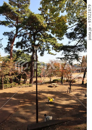 紅葉の多摩川台公園 97022879