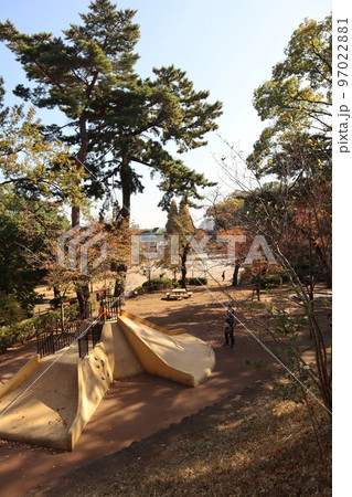 紅葉の多摩川台公園 97022881